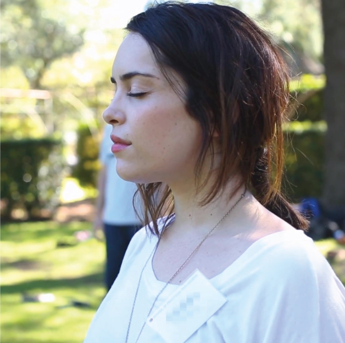 Mastering Meditation Online Workshop 2026T3