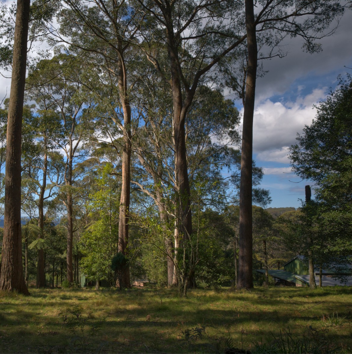 “Off the Grid” Mt Wilson Weekend Retreat – Mar 21 & 22