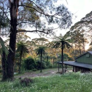 "Off the Grid" Mt Wilson Weekend Retreat - Aug 8 & 9