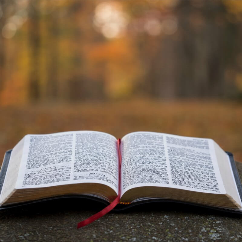 The Wisdom of the Bible 2026T1