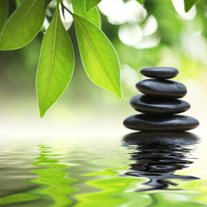 Meditation Morning 2026T2